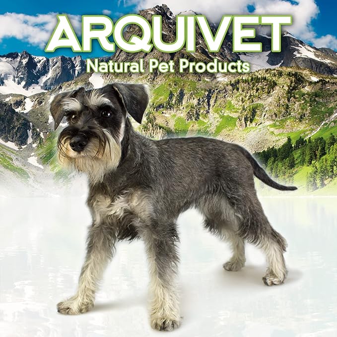 Arquivet 8435117894259 Backpack Front 30 x 20 x 34 cm