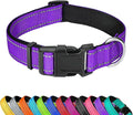 Reflective Dog Collar, Adjustable Soft Neoprene Padded Nylon Pet Collars with Buckle for Small Dogs, Purple,S