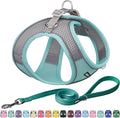 AIITLE No Pull Dog Harness and Leash Set, Step in Adjustable Dog Harness with Padded Vest for All Weather, Dog Leash with Soft Padded Handle, Easy to Put on Small and Medium Dogs Turquoise S