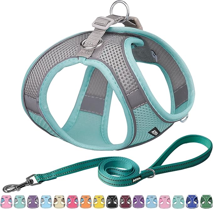AIITLE Dog Harness, No-Pull Cat Harness with a Leash, Adjustable Reflective Dog Vest, Cat Harness Escape Proof, Outdoor Walking, Running,Training for Extra Small Dogs and House Cats Turquoise XXXS