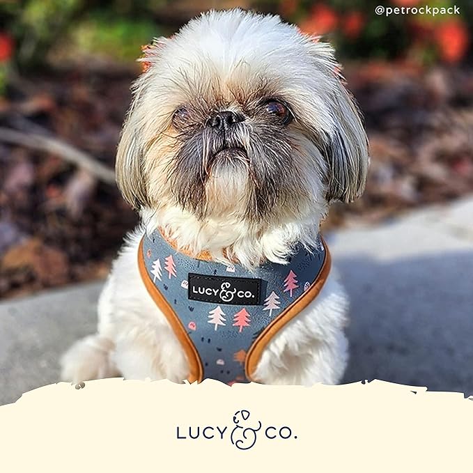 Lucy & Co. Take a Hike Reversible Dog Harness - Best Designer Pet Harnesses for XS - XL Dogs - Padded Adjustable Vest for Easy Walking (X-Small, Neutral Brown Plaid with Blue Trees)