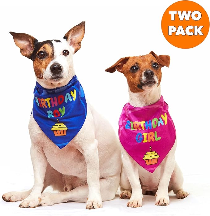 Dog Birthday Bandana - 2 Pack Boy Girl Bandanas for Dogs Puppy Birthday Party Decorations, Small