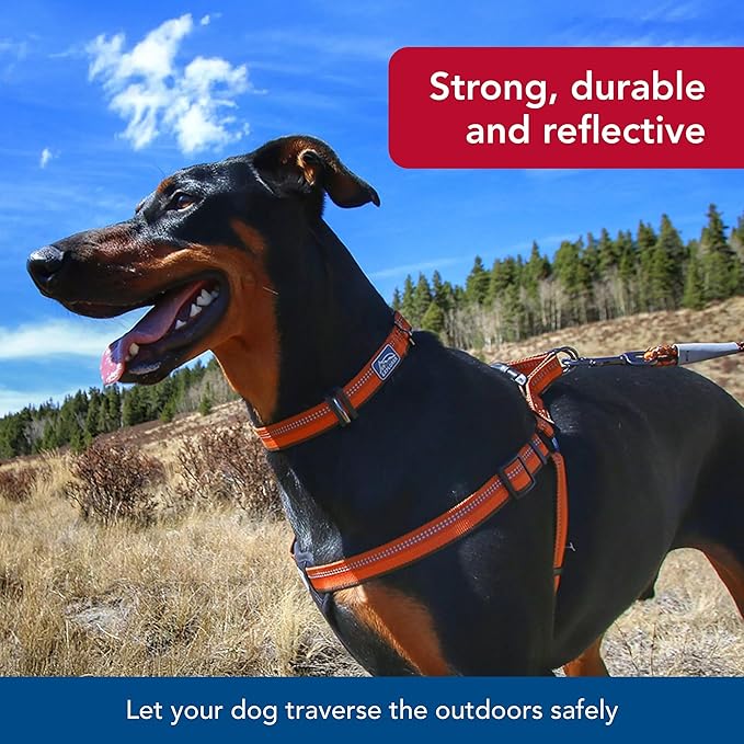 Coastal Pet K9 Explorer Reflective Adjustable Dog Collar - Comfortable Collar for The Outdoors - Durable, Lightweight Accessory with Side-Release Buckle - Campfire Orange, 1" x 18-26"