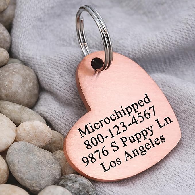 Ultra Joys Dog ID Tag, Custom Dog Tag Personalized Cat Tag, Pet ID Tag, Brushed Stainless Steel Dog Cat Tag, Custom Your Own
