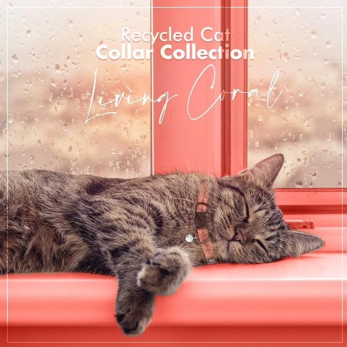 Pawtitas Recycled Coral Reflective Cat Collar – Eco-Friendly Breakaway Safety Buckle, Adjustable Kitten & Adult Collar with Removable Bell and High-Visibility Strap
