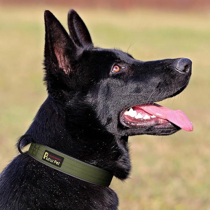 Plutus Pet Tactical Dog Collar, Reflective, Adjustable Heavy Duty Dog Collar, Soft Padded and Comfortable, for Small Medium and Large Dogs (Ranger Green, S)