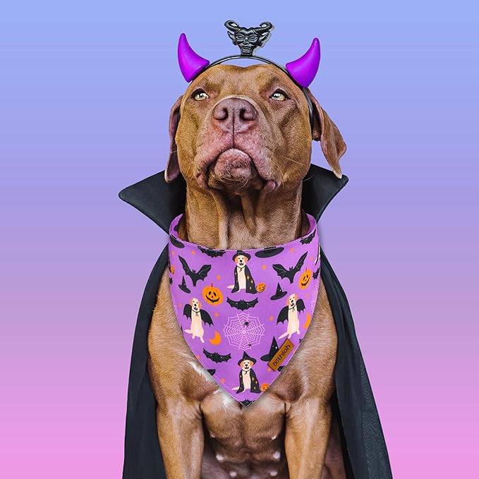 Halloween Dog Bandanas - 2 Pack Purple Dog Bandana with Snap Button | Reversible Pet Scarf for Boy & Girl | Premium Durable Fabric | Holiday Bandana for Large and Extra Large Dogs (X-Large)