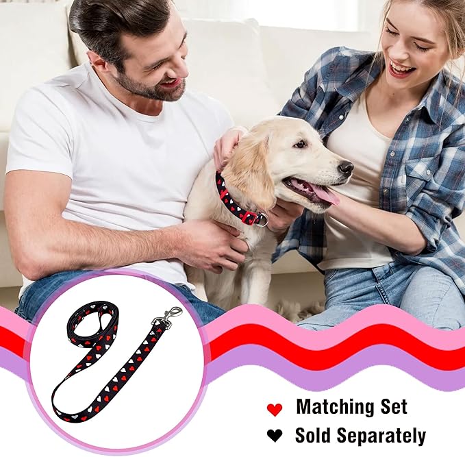 Native Pup Valentine Dog Collar - Valentine's Day Pet Collar - Girly Hearts - Pink & Red Heart - Cute Boy & Girl Puppy Gift - Adjustable for Small, Medium, Large Breeds (White & Red Hearts, Medium)
