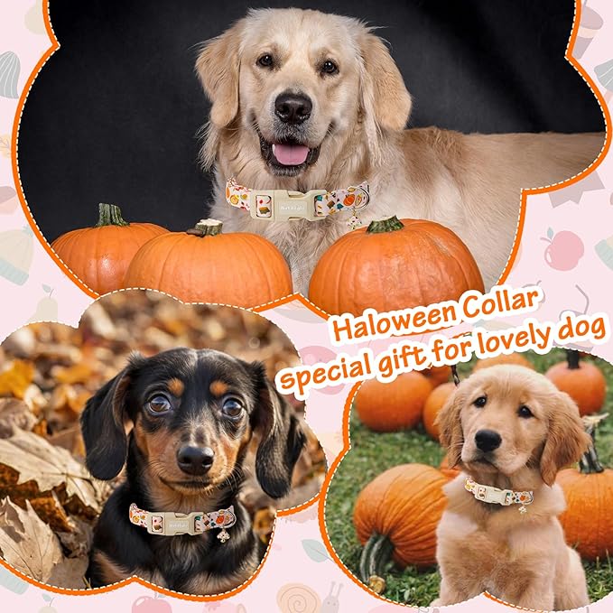 Fall Woodland Dog Collar, Playful Squirrel & Pumpkin Print on White Collar for Small Medium Large Dogs, Breathable, Adjustable & Comfortable Puppy Collar for Fall Walks & Pet Photos-M