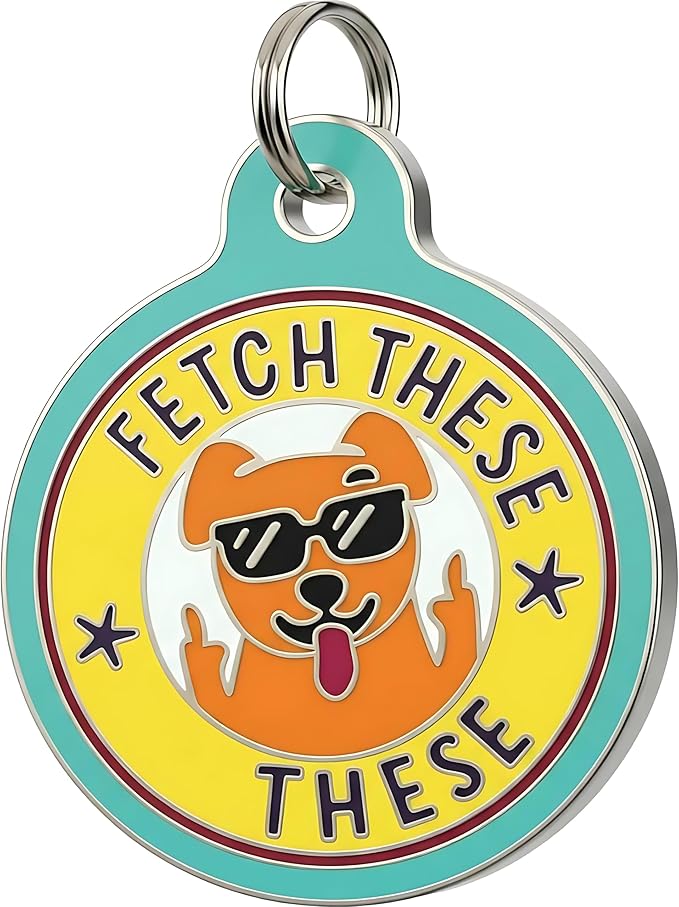 Bad Tags Personalized Dog and Cat ID Tags in 25+ Designs and 2 Sizes - 5 Lines of Custom Engraved Text - Funny Cute Personalized Pet Tags (Fetch These, Large (1.25 inch))