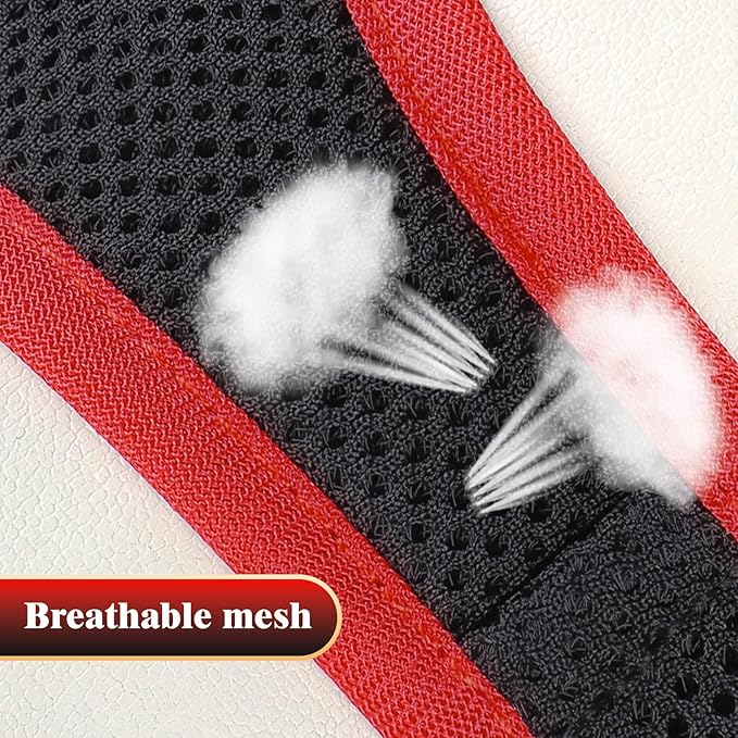 YIMEIS Dog Harness and Leash Set, No Pull Soft Mesh Pet Harness, Reflective Adjustable Puppy Vest for Small Medium Large Dogs, Cats (Black & red 01, Small (Pack of 1)