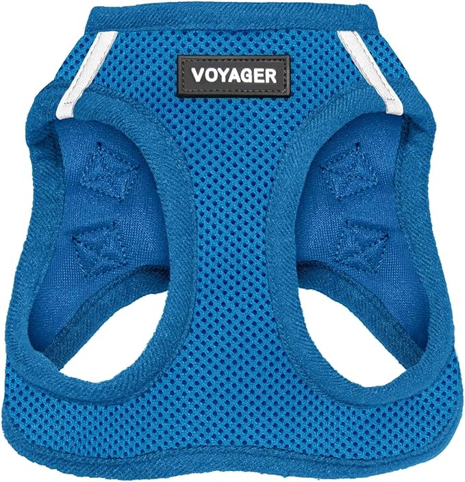 Best Pet Supplies Voyager Step-in Air Harness - All Weather Mesh, Reflective, No Pull Harness for Dogs, Cats - Secure with Hook & Loop Fastener, Buckle, Double D-Rings - Royal Blue, XS
