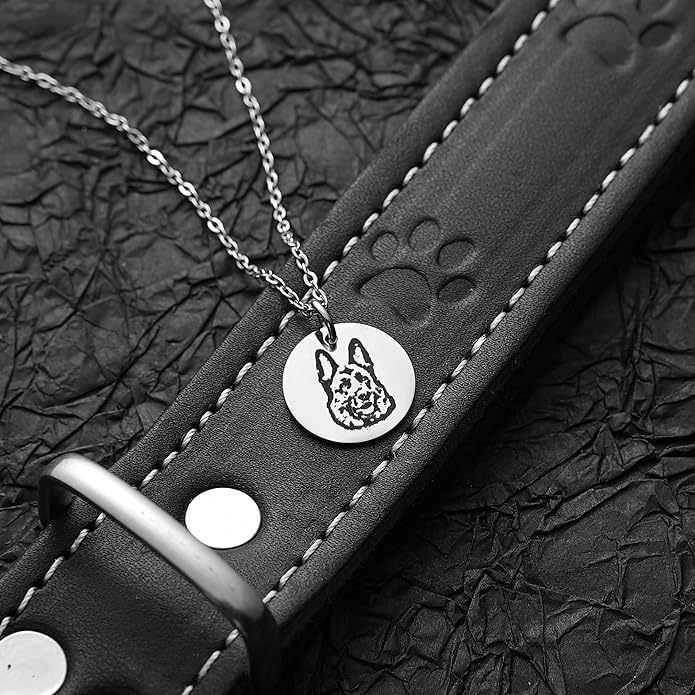 Custom Pet Portrait Necklace with Photo & Name – Dog or Cat Memorial Jewelry for Women or Men, Personalized Engraved Round Disc for Cat Loss, Birthday Gifts for Pet Owners, Dog Moms & Animal Lovers