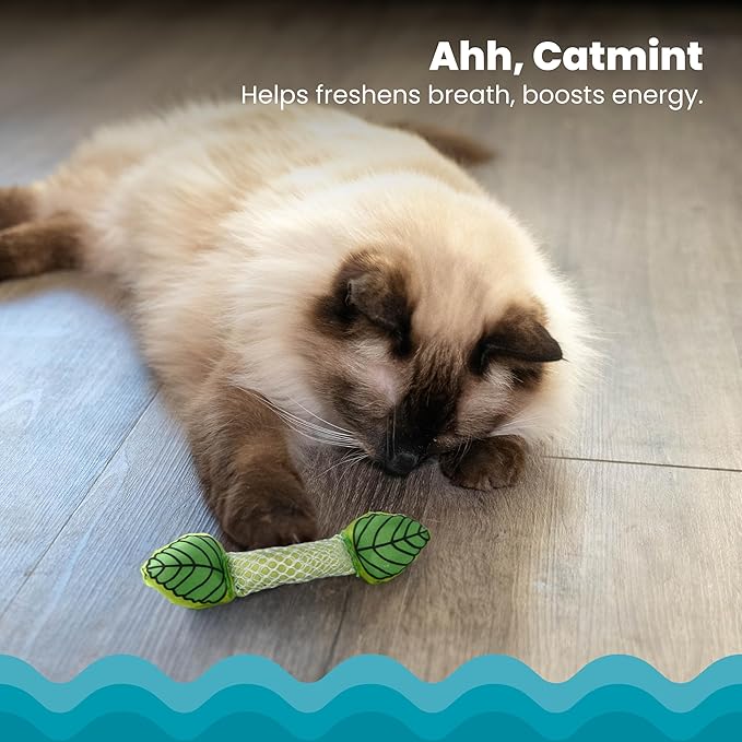 Catstages Fresh Breath Mint Stick Dental Cat Chew Toy with Catmint,Teeth Cleaning & Fresh Breath,Solo or Interactive Play,Green,(Pack of 2)