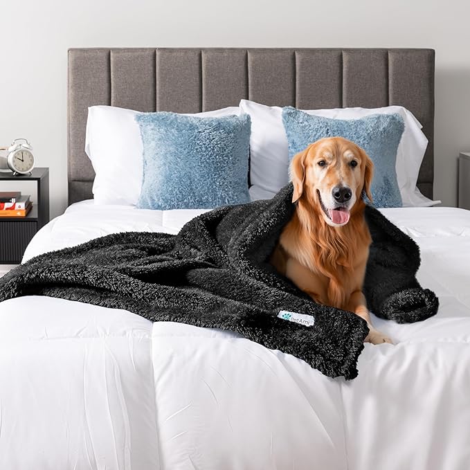 PetAmi Dog Blanket for Large Dogs, Black Fluffy Soft Sherpa Fleece for Puppies, Kittens, Calming Pet Throw for Bed, Washable Sofa Couch Cover, X-Large 60x80