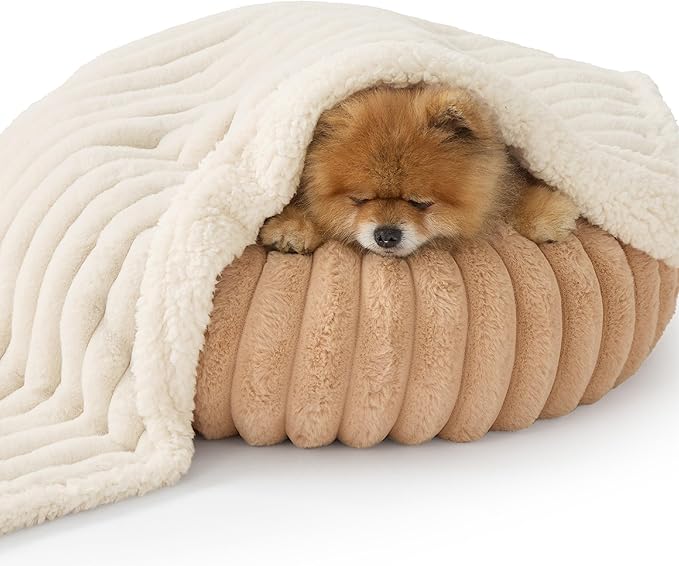 Bedsure ComfyFleece™ Waterproof Dog Blankets for Small Dogs - Soft Puppy Cat Blanket Corduroy Fleece Washable, Cozy Calming Reversible Furniture Protection for Pet Kitten Doggy,25"x35", Cream