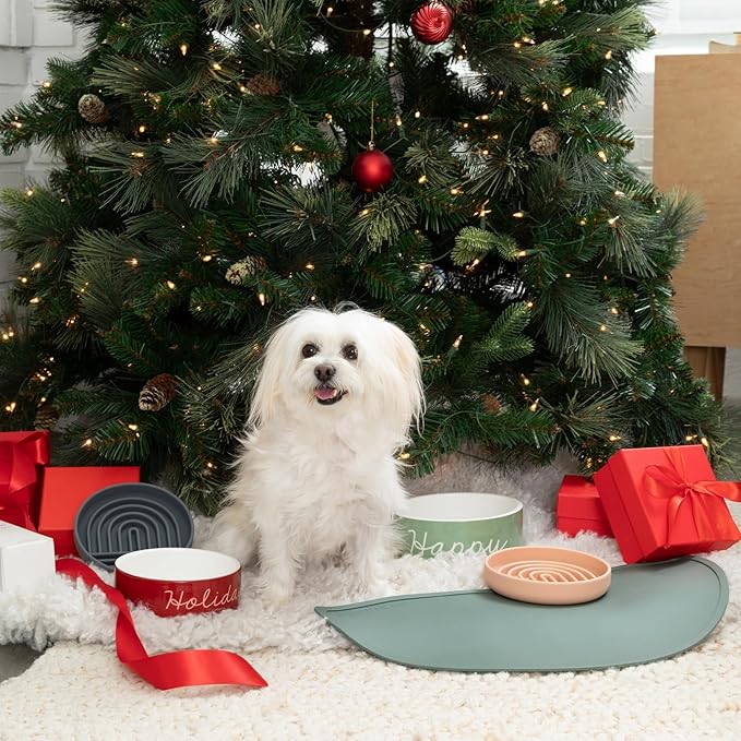 Should We Go - Waterproof Silicone Pet Food Mat - Non-Slip Spill-Proof Feeding Mat for Floors, Raised Edge Design, Easy-to-Clean Rubber Pad for Dog & Cat Bowls, 28" Across x 14" Deep, Large-Charcoal