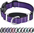 Hikiko Martingale Collar for Dogs Reflective Nylon Dog Collar with Quick Release Buckle Adjustable Training No Slip Dog Collar (Large, Purple)