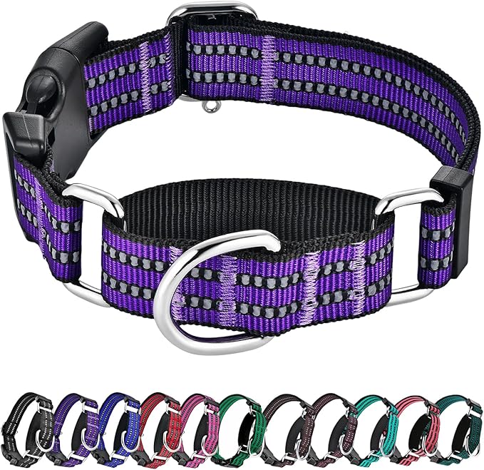 Hikiko Martingale Collar for Dogs Reflective Nylon Dog Collar with Quick Release Buckle Adjustable Training No Slip Dog Collar (X-Small, Purple)