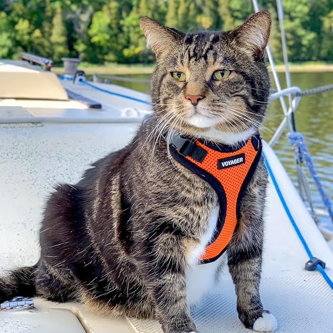 Voyager Escape-Proof Step-in Lock Cat Harness & 5ft Neoprene-Handle Leash Set All-Weather Mesh with Reflective Stitching for Small to Large Cats by Best Pet Supplies, Orange/Black Trim, XS