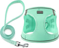 Dog Harness with Leash Set, No Pull Adjustable Reflective Step-in Puppy Pet Vest Harnesses for Small Medium Large Dogs and Cats,Green XXS