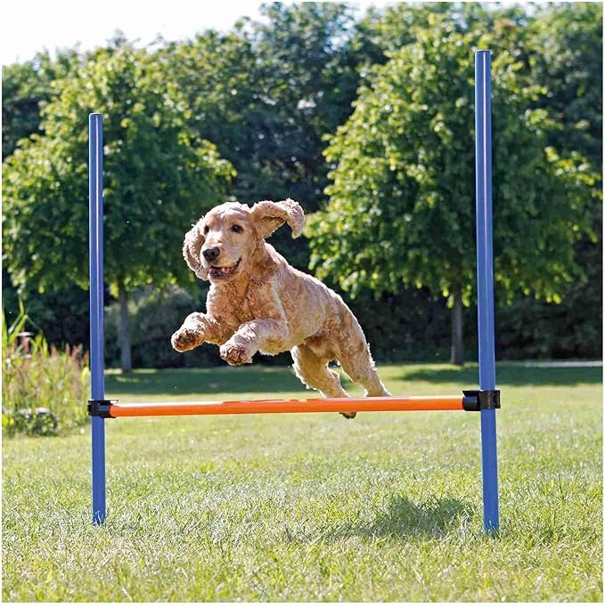 TRIXIE Agility Hurdle Adjustable Dog Jump, Ideal for Beginners & Advanced, Dog Obstacle Course Equipment 1 x Hurdle