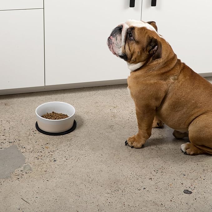 Waggo Habit Silicone Dog Placemat – Set of 2 Modern Heavyweight Silicone Dog Food Mats, Dishwasher Safe, Non-Slip, Solid Color – White (Small, 6")