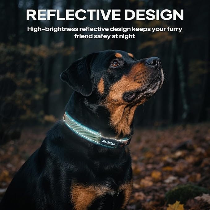 PetiFine Dog Collar for Large Dogs, Neoprene Padded and Adjustable, Reflective Wide Heavy Duty Pet Collars with Durable Metal Belt Buckle for Walking, Teal&Orange, L