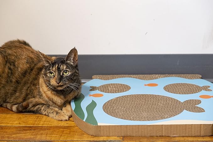Pearhead Interactive Cat Scratch Toy, Fishbowl Theme, 19"W x 14.8"H x 1.3"D