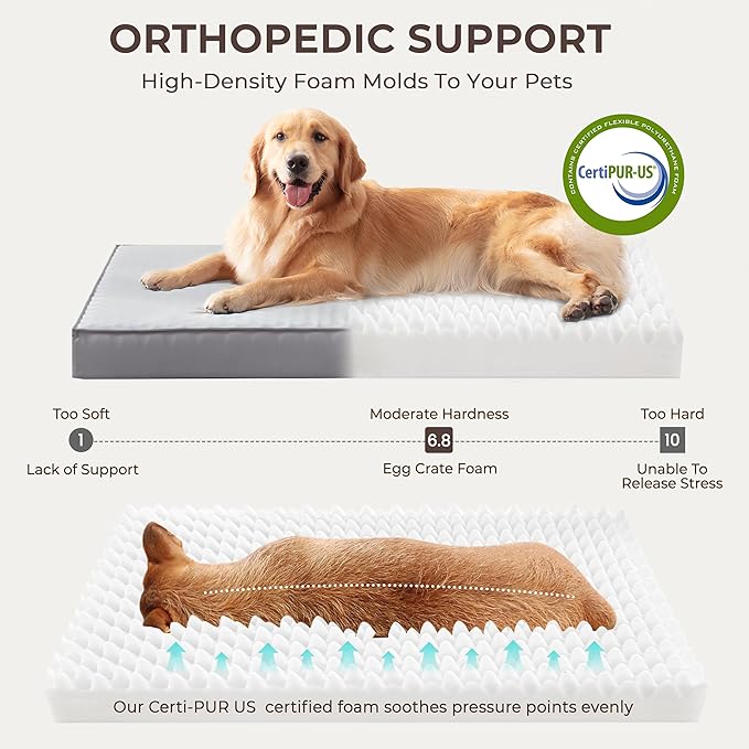 2-Pack XL Waterproof Dog Bed Large Size Dogs, Plush Cushion & Orthopedic Egg-Crate Foam Mattress for Senior Dogs, Washable Dog Crate Bed with Removable Cover, Light Grey