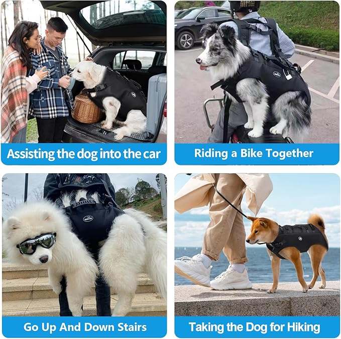 Dog Lift Harness Sling Carrier for Dogs Hind Leg Stair Support Old, Disabled, Joint Injuries, Arthritis, Large Dogs Up and Down Stairs, Cars(33-66 LBS)