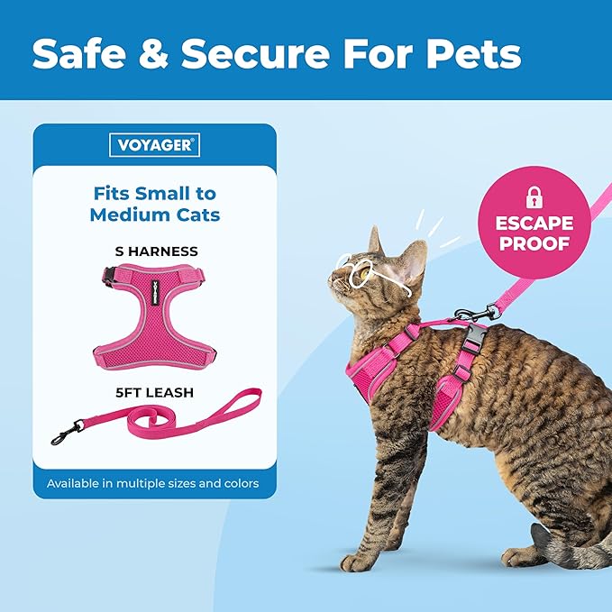 Voyager Escape-Proof Step-in Lock Cat Harness & 5ft Neoprene-Handle Leash Set All-Weather Mesh with Reflective Stitching for Small to Large Cats by Best Pet Supplies, Fuchsia (327), S