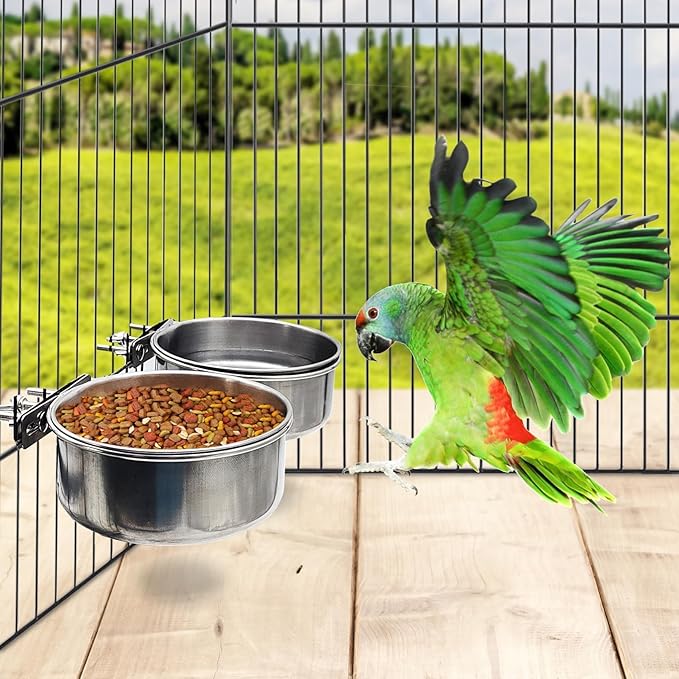 PINVNBY 2pcs Stainless Steel Bird Bowl Feeding Dish Cups for Parrot, Parakeet, African Greys, Conure, Cockatiels, Lovebird, Budgie, Chinchilla (L)