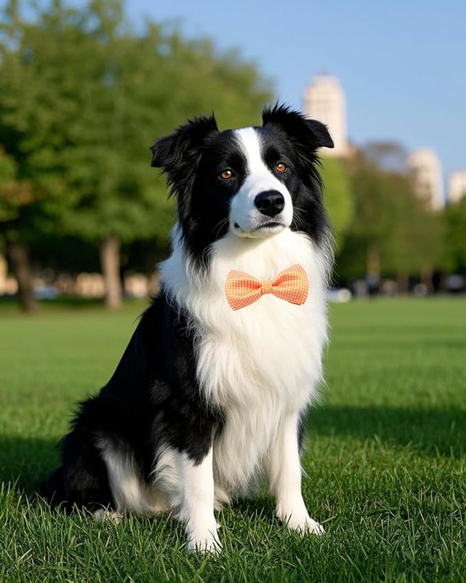 PET SHOW 8 Pack Dot Big Dogs Collar Embellishment Attachment Bow Ties for Medium Large Dogs Collar Charms Accessories Slides Bowties for Birthday Wedding Parties Assorted