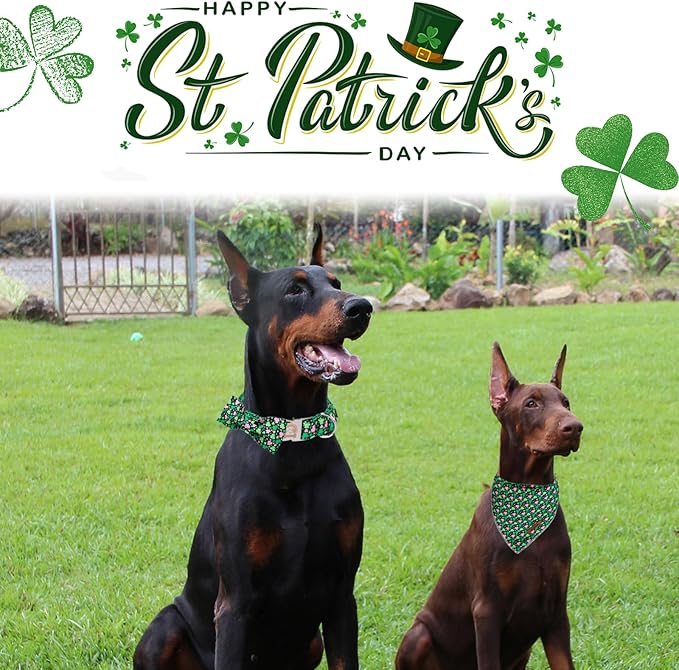 MR. CHUBBYFACE St.Patrick's Pink Green Clover Dog Collar with Bowtie, Cute Clovers Shamrock Metal Buckle Dog Collar, Adjustable Shamrock Pet Collar with for Small Medium Large Dogs