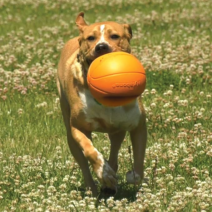 Nylabone Power Play Gripz Felt Basketball Rubber Fetch Toy, Squeaky Ball for Dogs, Medium (1 Count) (Pack of 2)