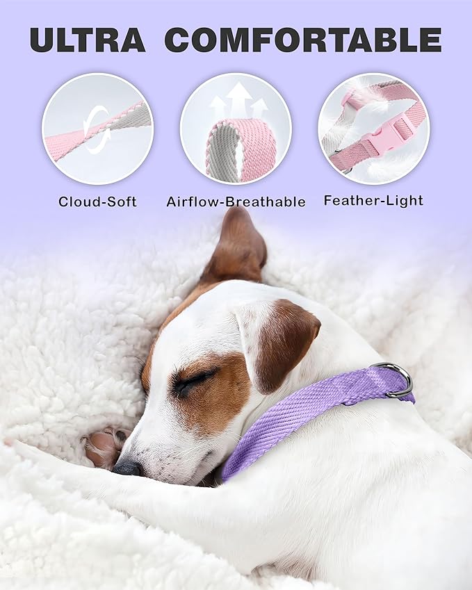 Dynmeow Soft and Breathable Cotton Dog Collar, Durable Adjustable Heavy-Duty Female Girl Pet Collar with Quick-Release Buckle, Lightweight for Sensitive Skin for Medium and Large Dogs, Purple, M