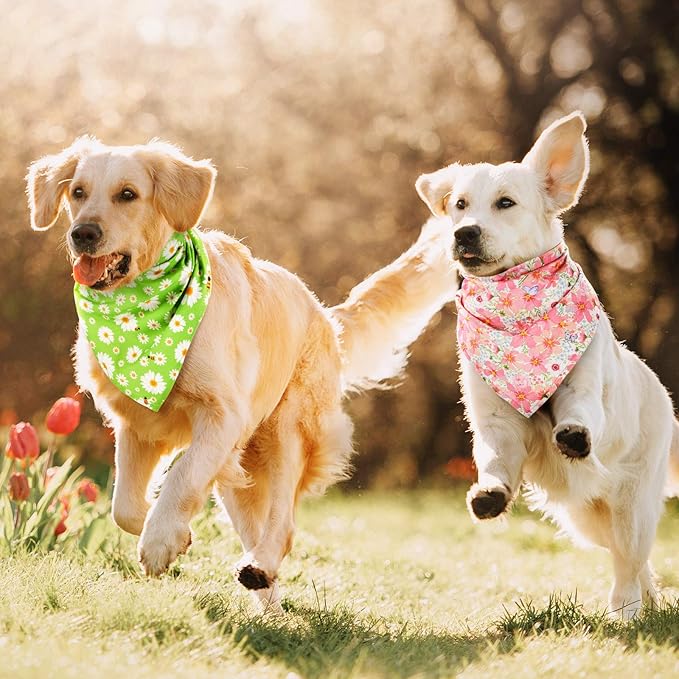 Weewooday 8 Pcs Floral Dog Bandana Spring Flower Pet Triangle Bib Scarf Daisy Rose Pet Bandana Suitable for Most Dog and Cat(Cute Pattern)