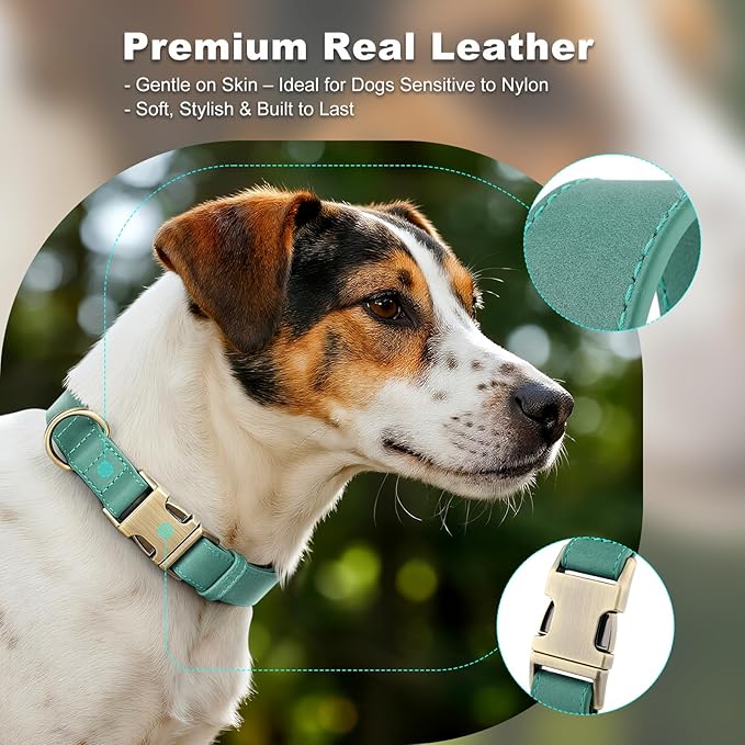 Plutus Pet Genuine Leather Dog Collar – Adjustable Pet Collar with Quick Release Metal Buckle, Soft Real Leather for Small Medium Large Dogs, Heavy Duty & Skin-Friendly (Green, L)