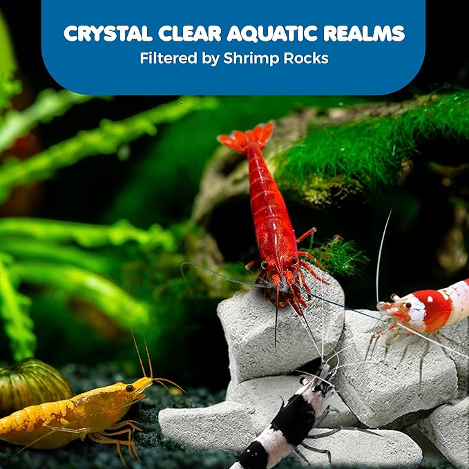 SunGrow Shrimp Rocks for Aquarium, 4-oz. Calcium Stones for Freshwater Aquarium Calcium Rocks for Snails, Recreate Shrimp Habitat, Feeder Discs for Crabs & Crayfish, Snail Tank Accessories