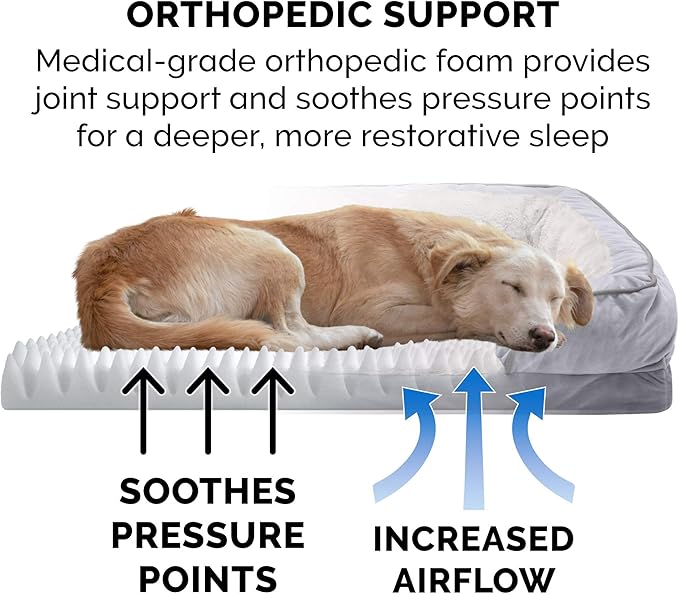 Furhaven Orthopedic Dog Bed for Medium/Small Dogs w/ Removable Bolsters & Washable Cover, For Dogs Up to 35 lbs - Plush & Velvet Waves Perfect Comfort Sofa - Granite Gray, Medium