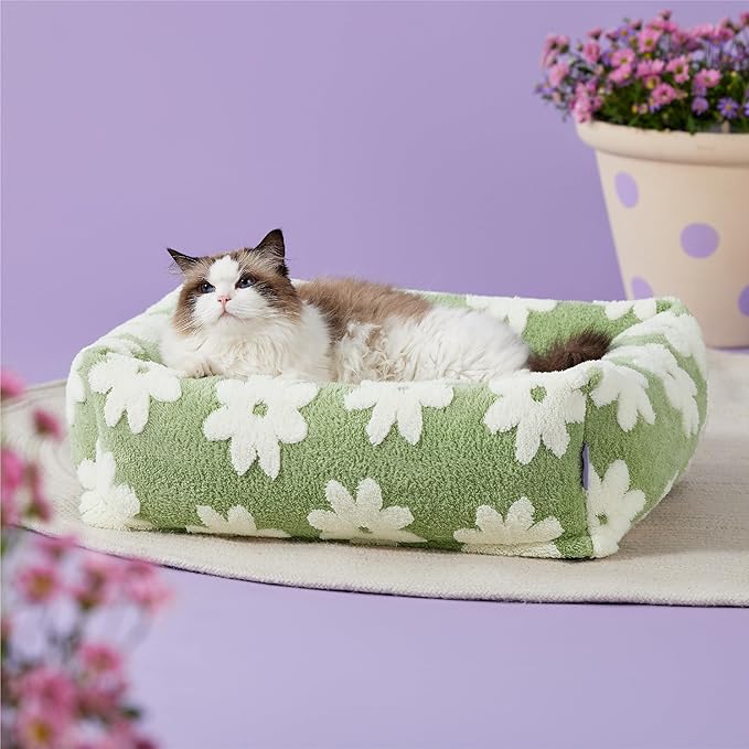 LE SURE Cute Dog Bed for Small Dogs & Cats- Washable Puppy Beds,Cozy Rectangle Orthopedic Pet Sofa with Jacquard Shaggy Plush & Anti Slip Bottom,20x19x6inches