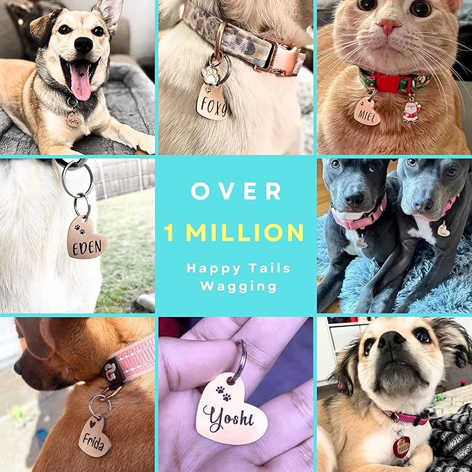 Ultra Joys Dog ID Tag, Custom Dog Tag Personalized Cat Tag, Pet ID Tag, Brushed Stainless Steel Dog Cat Tag, Custom Your Own