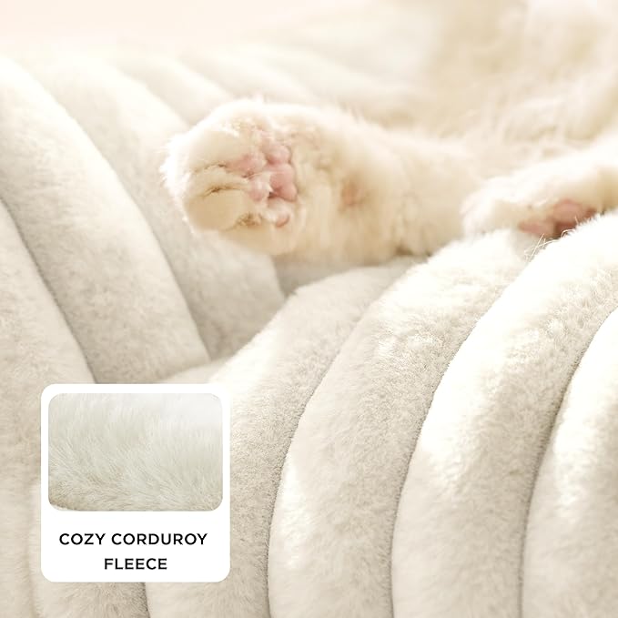 Bedsure Cute Cat Couch for Pets - Fluffy Cat beds with Premium Soft Corduroy Fleece, Fuzzy Cats beds for Indoor Cats with Removable Washable Cover, Supportive Pet Sofa, 24inch, Cream (Pack of 2)
