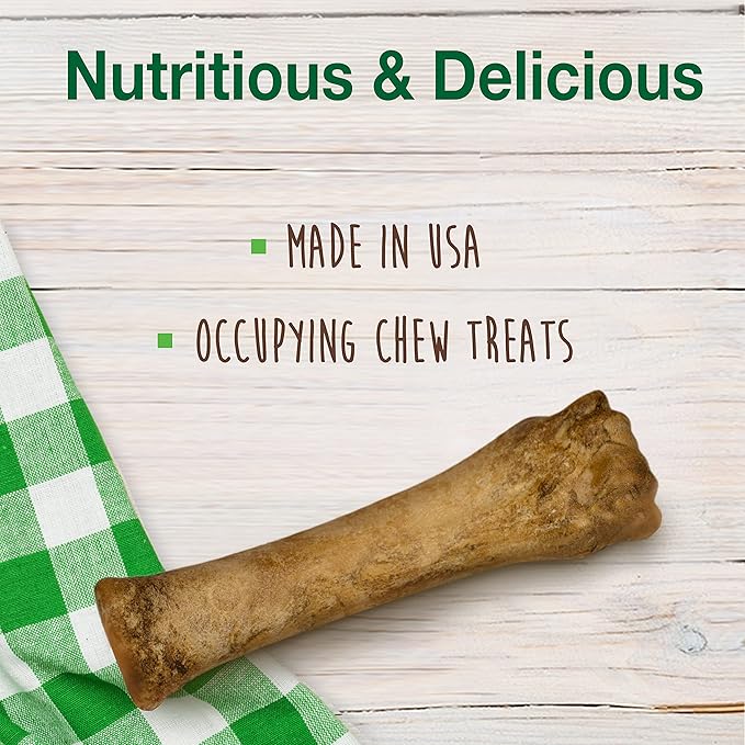Nylabone Healthy Edibles Natural Dog Chews, Long Lasting Bones for Dogs, Roast Beef Flavor Dog Treats, X-Large (2 Count)