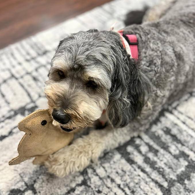 SPOT Dura-Fused Leather Rabbit Dog Toy – Durable Real Leather & Jute Chew Toy with Squeaker, Double-Stitched for Moderate Chewers, Small & Medium Dogs, 7.5in