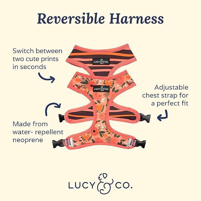 Lucy & Co. Reversible Dog Harness Walking Halter - Best Designer Pet Harnesses for Extra Small Medium Large XL Dogs Plus Pug Breeds - Padded Adjustable Puppy Vest (X-Small, Posy Pink)