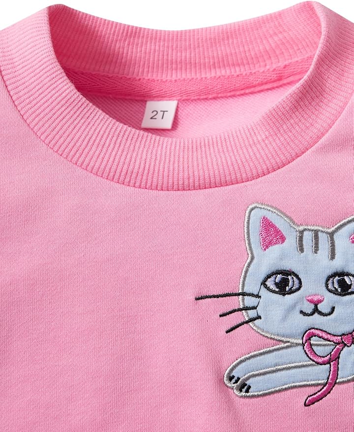 Toddler Baby Girls Cotton Sweater, Long Sleeve Crewneck Sweatshirt Pullover Kids Warm Clothing for Fall Winter