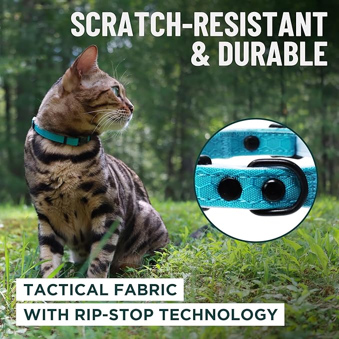 OutdoorBengal Blue Cat Collar Breakaway with Soft Padding for Medium to Large Cats - Durable Heavy Duty Tactical Fabric, Comfortable, Quick Release Breakaway Cat Collars, No Bell Collar (Blue, Adult)