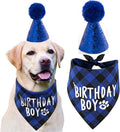Dog Birthday Party Supplies,Pet Birthday Hat and Boy Doggy Birthday Bandana Set